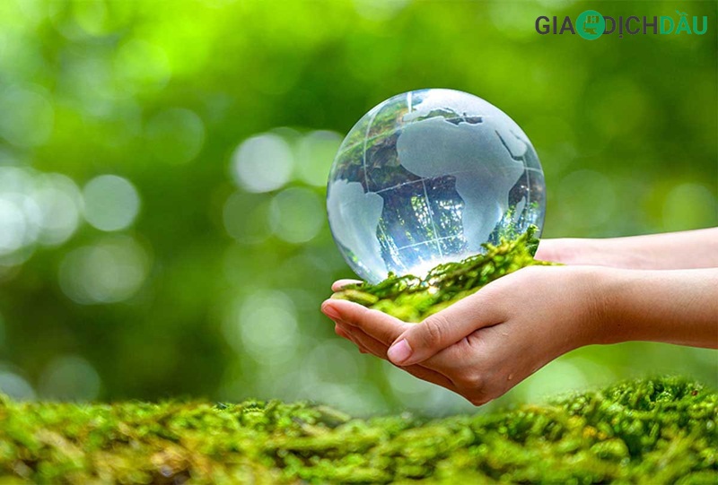 Sử dụng nhiên liệu sinh học là hành động góp phần bảo vệ môi trường