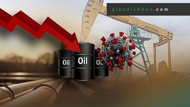 Tìm hiểu các thông tin dầu thô để có hướng đầu tư hợp lý nhất