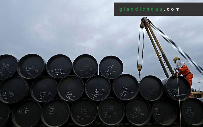  cổ phiếu của các công ty phân phối dầu