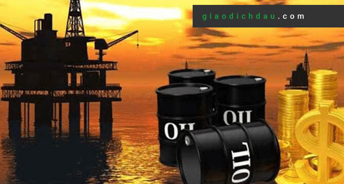 giá dầu forex