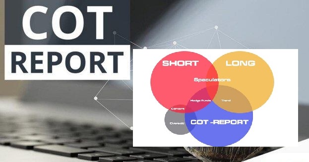 Báo cáo COT là gì